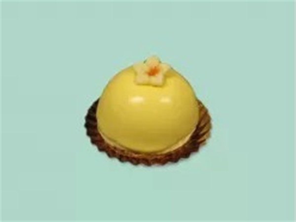 Zwitsers advocaat